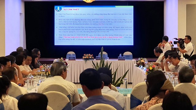 Quảng Nam: Hội thảo xây dựng chương trình phát triển sâm Việt Nam đến năm 2030, định hướng 2045 