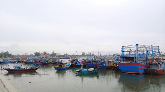 Quảng Nam: Khẩn cấp triển khai ứng phó với đợt mưa lớn