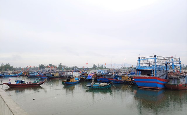 quang-nam-khan-cap-trien-khai-ung-ph243-voi-dot-mua-lon_1.jpg