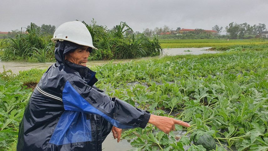 quang-nam-mua-tr225i-m249a-nguoi-d226n-bom-nuoc-cuu-dua-hau_1.jpg quang-nam-mua-tr225i-m249a-nguoi-d226n-bom-nuoc-cuu-dua-hau_1.jpg