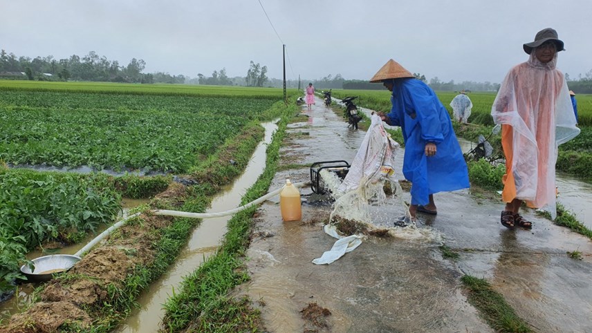 quang-nam-mua-tr225i-m249a-nguoi-d226n-bom-nuoc-cuu-dua-hau_3.jpg quang-nam-mua-tr225i-m249a-nguoi-d226n-bom-nuoc-cuu-dua-hau_3.jpg