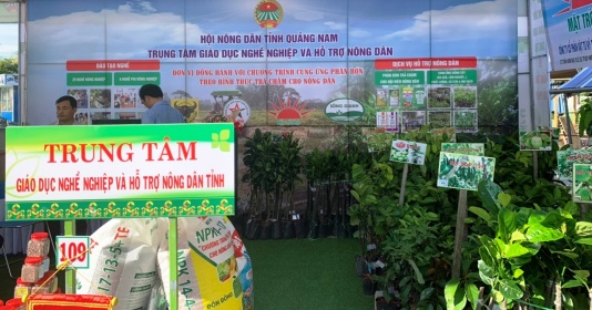 Quảng Nam: Sản phẩm nông nghiệp mang lại hiệu quả, giá trị kinh tế cao