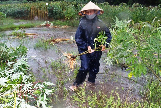 quang-nam-tap-trung-khac-phuc-hau-qua-b227o-so-5_1.jpg