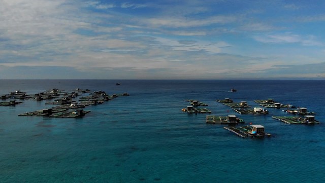 Quảng Ngãi: Huyện Lý Sơn được xếp vào diện đặc biệt khó khăn