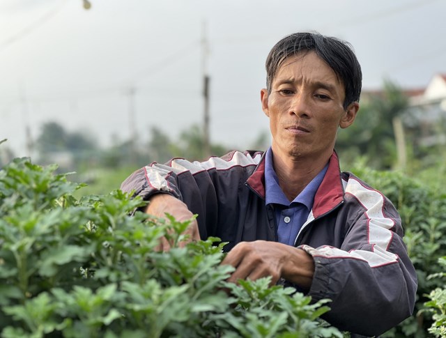 quang-ng227i-nguoi-trong-hoa-phan-khoi-v236-vu-hoa-tet-duoc-gi225_5.jpg quang-ng227i-nguoi-trong-hoa-phan-khoi-v236-vu-hoa-tet-duoc-gi225_5.jpg
