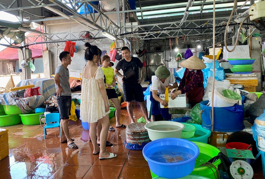 quang-ninh-kh225ch-du-lich-ru-nhau-mua-hai-san-tieu-thuong-39d243ng-th249ng-xop39-moi-tay_3.jpg quang-ninh-kh225ch-du-lich-ru-nhau-mua-hai-san-tieu-thuong-39d243ng-th249ng-xop39-moi-tay_3.jpg