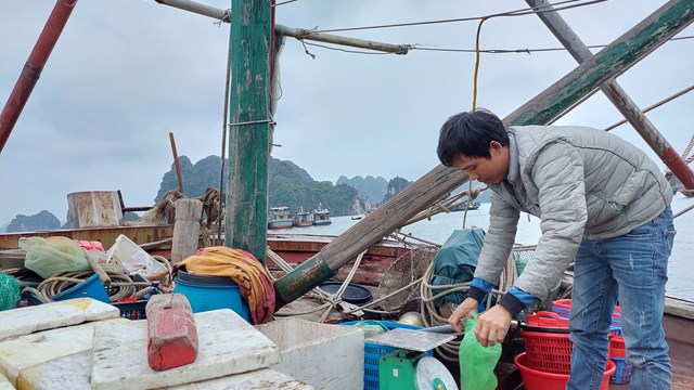 Quảng Ninh: Ngư dân lao đao vì giá xăng dầu tăng cao