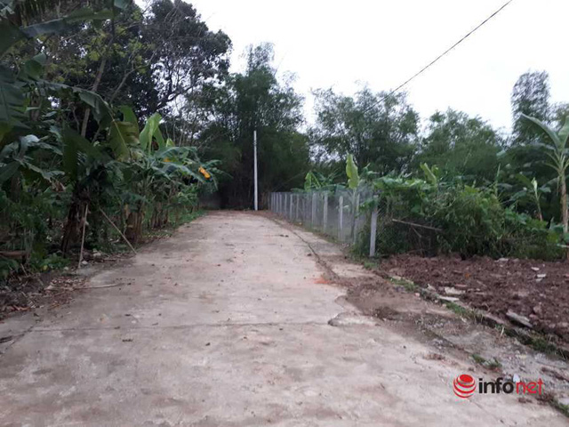 Quy hoạch sông Hồng chưa chốt, giá đất Đông Anh đã “nhảy múa”, nửa đêm vẫn có người hỏi mua - Ảnh 1. Quy hoạch sông Hồng chưa chốt, giá đất Đông Anh đã “nhảy múa”, nửa đêm vẫn có người hỏi mua - Ảnh 1.