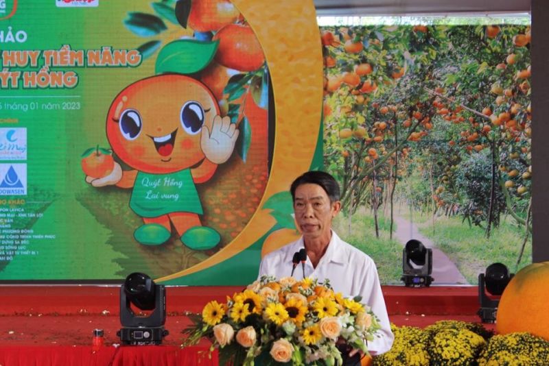 Ông Phạm Văn Đầy, xã Long Hậu mong muốn cây quýt hồng được bảo tồn và phát huy giá trị một cách đúng nghĩa. Ảnh Hữu Tuấn Ông Phạm Văn Đầy, xã Long Hậu mong muốn cây quýt hồng được bảo tồn và phát huy giá trị một cách đúng nghĩa. Ảnh Hữu Tuấn