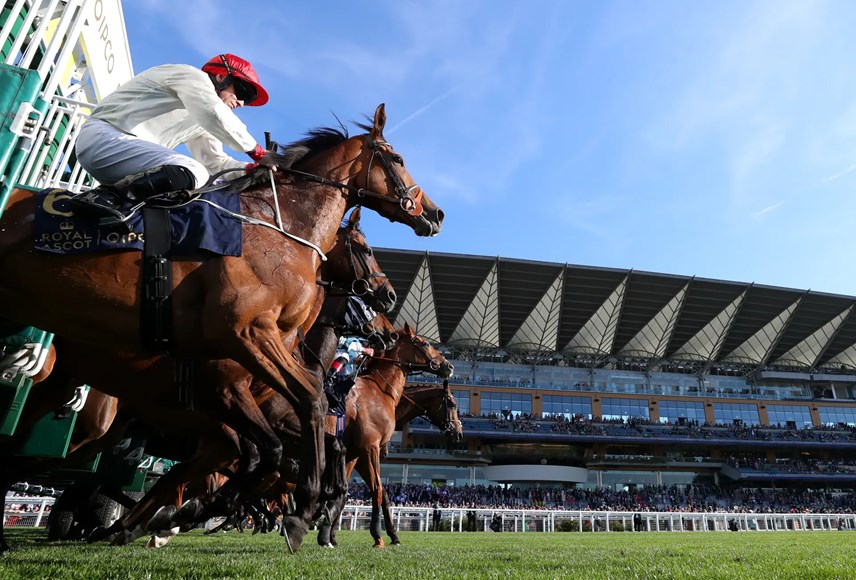 royal-ascot-le-hoi-dua-ngua-voi-39dress-code39-mu-doc-d225o_14.jpg