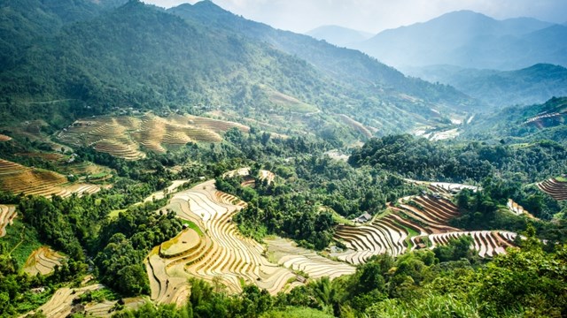 Ruộng bậc thang Hoàng Su Phì