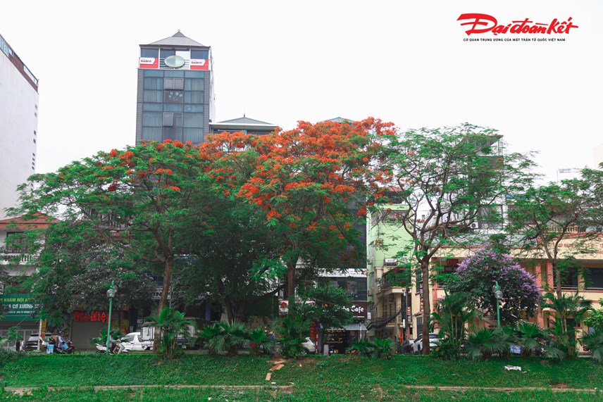 s244ng-t244-lich-dep-ngo-ng224ng-b234n-h224ng-hoa-phuong-vi_3.jpg s244ng-t244-lich-dep-ngo-ng224ng-b234n-h224ng-hoa-phuong-vi_3.jpg