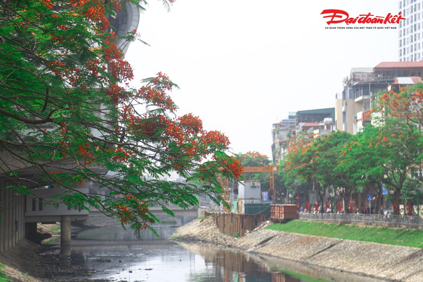 s244ng-t244-lich-dep-ngo-ng224ng-b234n-h224ng-hoa-phuong-vi_8.jpg s244ng-t244-lich-dep-ngo-ng224ng-b234n-h224ng-hoa-phuong-vi_8.jpg