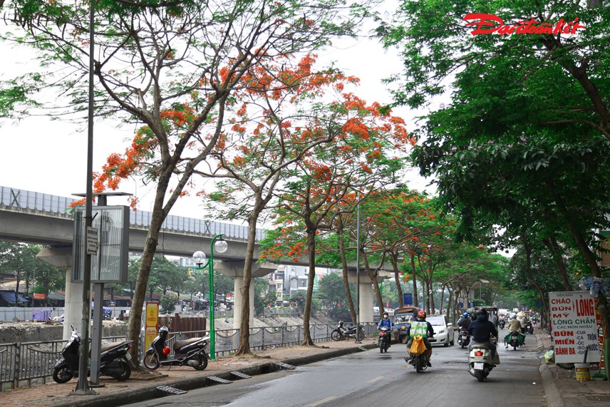 s244ng-t244-lich-dep-ngo-ng224ng-b234n-h224ng-hoa-phuong-vi_9.jpg s244ng-t244-lich-dep-ngo-ng224ng-b234n-h224ng-hoa-phuong-vi_9.jpg