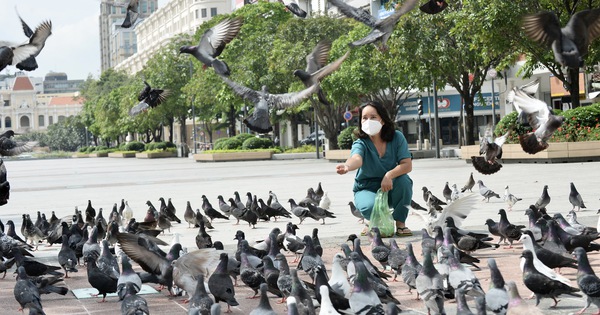 SÀI GÒN HỒI SINH
