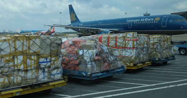 Saigon Cargo Service (SCS) chốt danh sách cổ đông tạm ứng cổ tức đợt 1/2020 bằng tiền tỷ lệ 30%