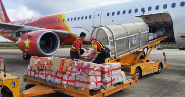 Saigon Cargo Service (SCS) chốt danh sách cổ đông trả cổ tức còn lại năm 2020 bằng tiền tỷ lệ 50%