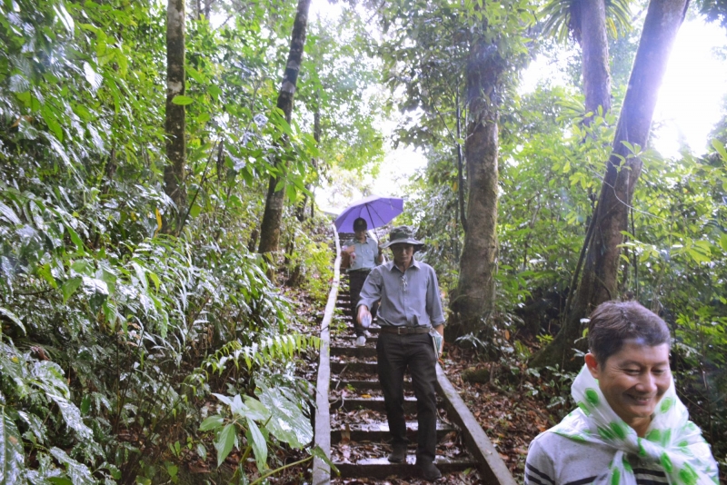 Anh Trịnh Minh Quí (người đi đầu)-GĐ Trung tâm kỹ thuật Nam Trà My dẫn đường vào khu bảo tồn sâm Ngọc Linh