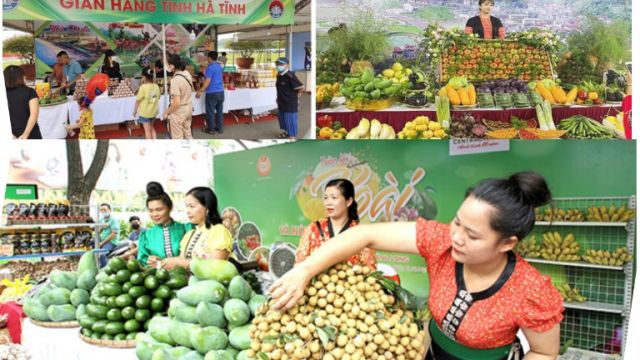 Sản phẩm OCOP hoa quả sấy có giá trị dinh dưỡng cao