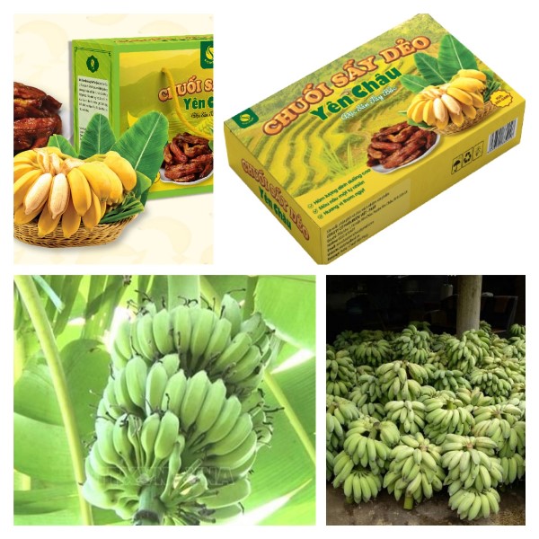 Sản phẩm có màu nâu mật, dẻo dính, thơm ngọt, hàm lượng dinh dưỡng cao, được đông đảo khách hàng ưa thích và tin dùng. Sản phẩm có màu nâu mật, dẻo dính, thơm ngọt, hàm lượng dinh dưỡng cao, được đông đảo khách hàng ưa thích và tin dùng.
