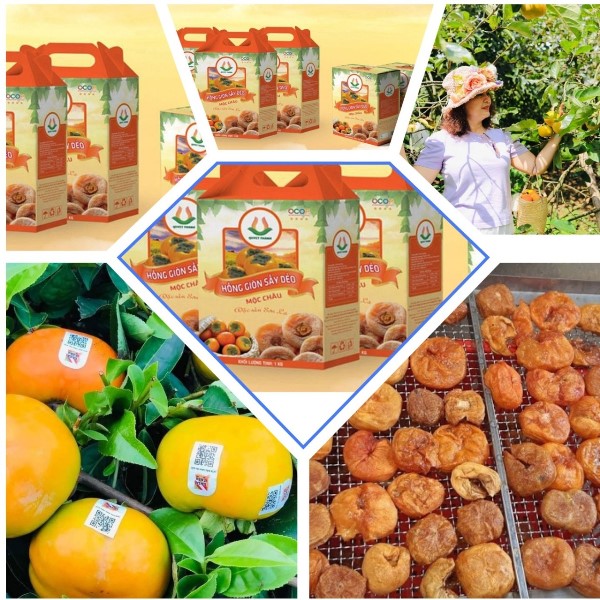 Để có sản phẩm hồng sấy dẻo, thơm ngon, chất lượng, phải lựa chọn những quả hồng đẹp, không sâu, không bị thối. Nhập hồng có truy xuất nguồn gốc rõ ràng. . Để có sản phẩm hồng sấy dẻo, thơm ngon, chất lượng, phải lựa chọn những quả hồng đẹp, không sâu, không bị thối. Nhập hồng có truy xuất nguồn gốc rõ ràng. .