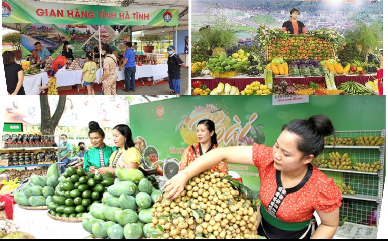 Tham gia trưng bày, giới thiệu các mặt hàng phát triển OCOP tại các Hội chợ. Tham gia trưng bày, giới thiệu các mặt hàng phát triển OCOP tại các Hội chợ.