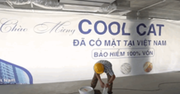 Sau Coolcat, các app kiếm tiền tiếp tục tung đủ chiêu lừa nhà đầu tư