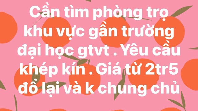 Sinh viên tăng tốc tìm nhà trọ sau Tết Nguyên đán