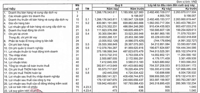 Sonadezi (SNZ) lãi xấp xỉ 600 tỷ đồng trong 6 tháng đầu năm, hoàn thành 59% kế hoạch - Ảnh 1.