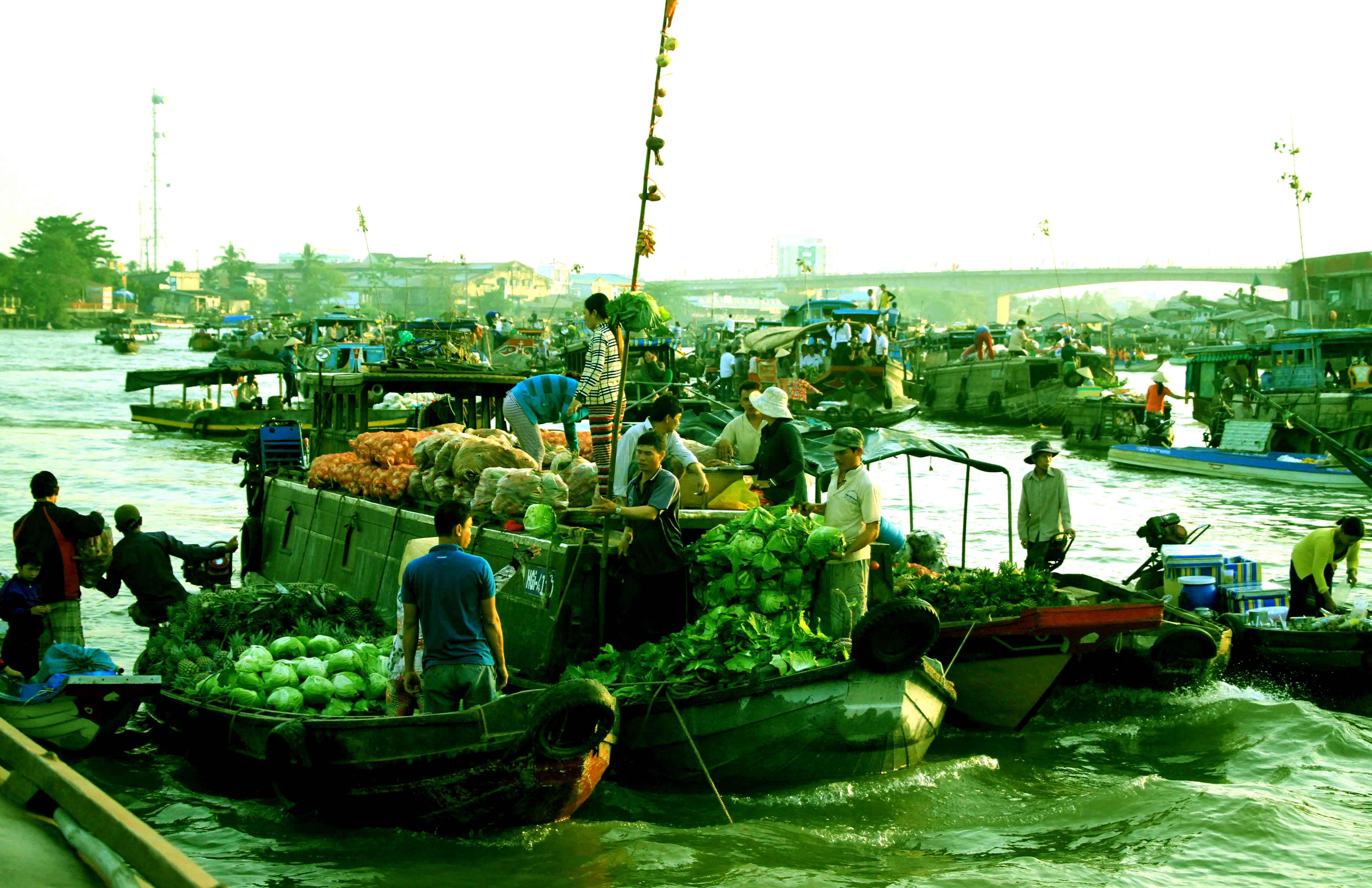 su-kh225c-biet-noi-v249ng-s244ng-nuoc_1.jpg