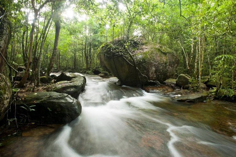 Suối Tranh, bức tranh thiên nhiên ban tặng Phú Quốc