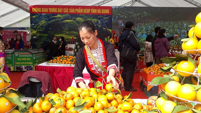 Tìm lối ra cho trái cây xuất khẩu
