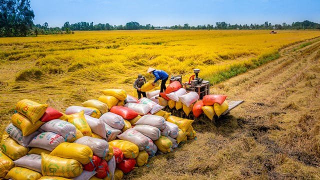 Tính chuyện đường dài cho nông sản