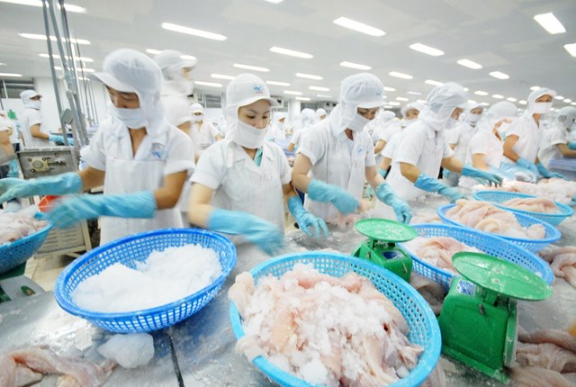 tan-dung-co-hoi-xuat-khau-v224o-thi-truong-eu_1.jpg