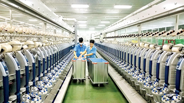 Tận dụng ưu đãi từ các FTA: Dệt may vướng 