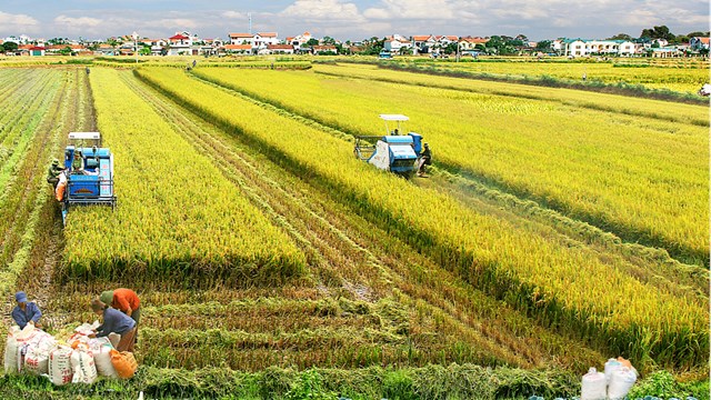 Tăng đầu tư ngân sách gấp đôi cho nông nghiệp, nông thôn