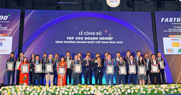 Tập đoàn Ngọc Diệp đạt Top 500 doanh nghiệp tăng trưởng nhanh nhất Việt Nam 2021