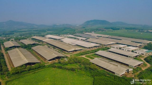 Tập đoàn TH chủ động tiết kiệm năng lượng trong sản xuất