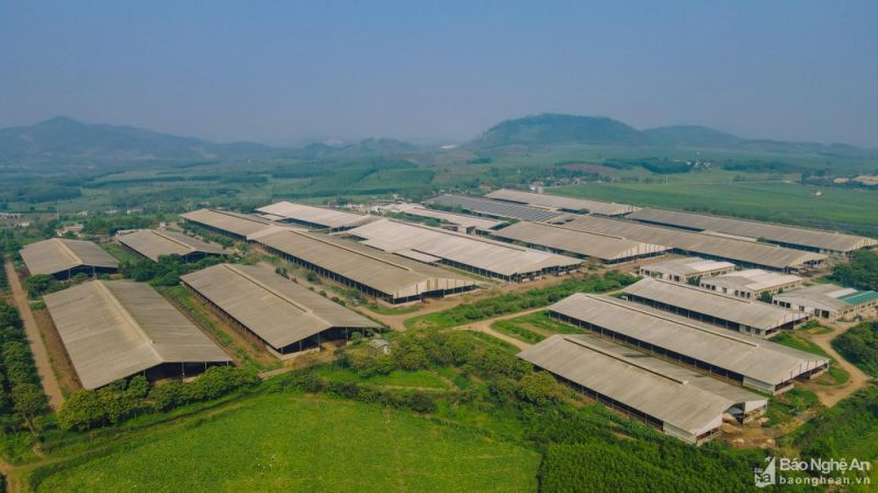 Năng lượng mặt trời tại các Nhà máy TH. Ảnh: CSCC Năng lượng mặt trời tại các Nhà máy TH. Ảnh: CSCC