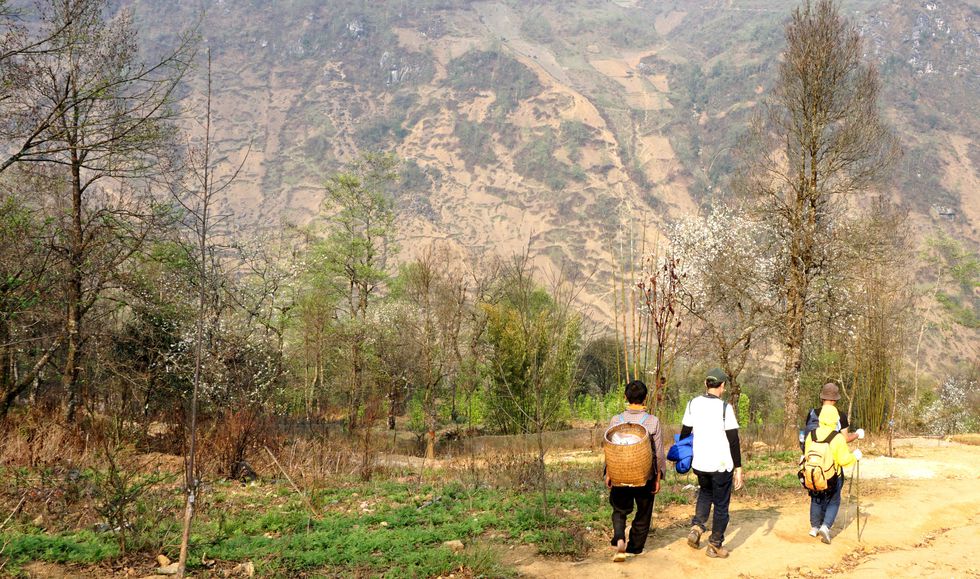 Tây Bắc mùa hoa táo mèo: Vẻ đẹp lặng lẽ, thơ mộng giữa mùa xuân - ảnh 1