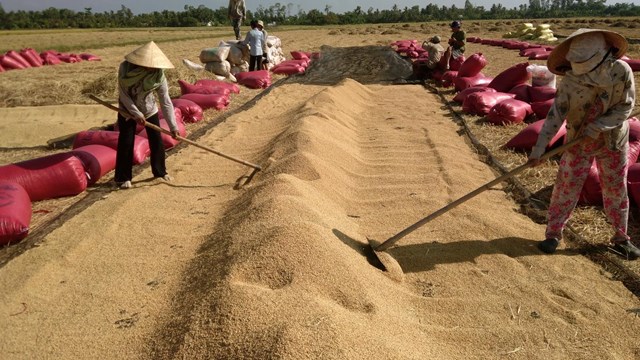 ‘Thông đường’ cho lúa gạo miền Tây 