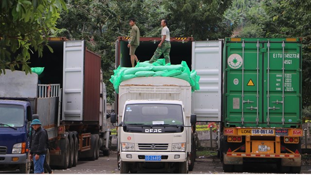 Thông quan trở lại cửa khẩu Ma Lù Thàng