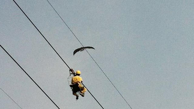 Thả diều gây mất điện trên diện rộng, thanh niên bị xử phạt 5 triệu đồng