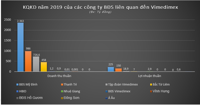  Tham vọng địa ốc tỷ đô của bà chủ Vimedimex - Ảnh 1.