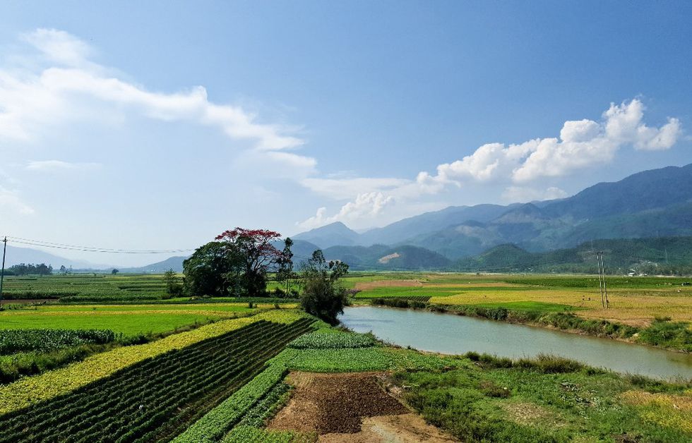 Tháng 3, chiêm ngưỡng những cây gạo già ra hoa rực đỏ nơi miền Trung - ảnh 5