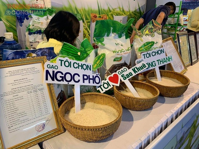 Thương hiệu gạo của công ty Sao Khuê đạt chứng nhận OCOP
