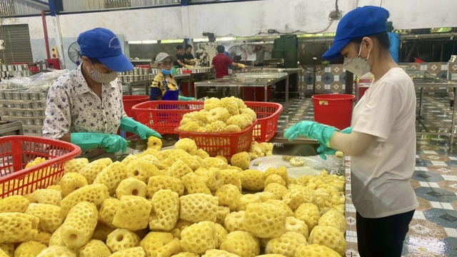 Thanh Hoá dành kinh phí hỗ trợ doanh nghiệp xuất khẩu tiếp cận thị trường mới