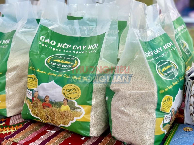 Sản phẩm gạo nếp Cay Nọi đạt chứng nhận