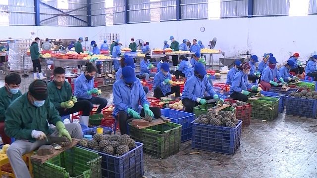 Thanh Hoá xúc tiến mở rộng thị trường xuất khẩu