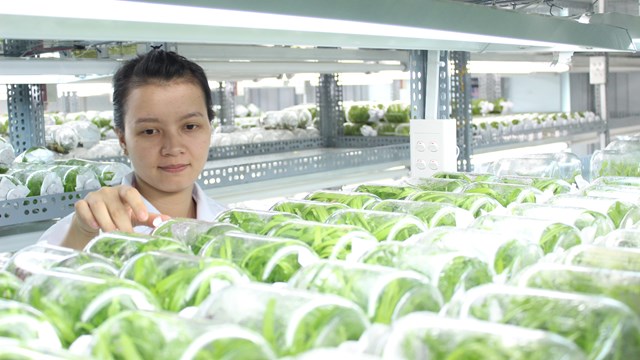 Thay đổi tư duy sản xuất nông sản